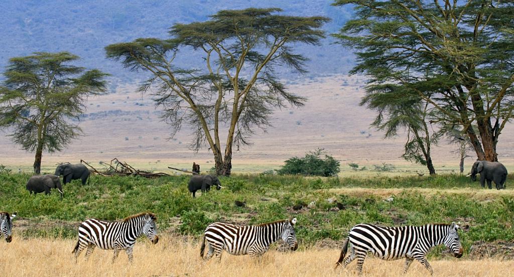 Le parc national Fazao-Malfakassa : un potentiel mini-Serengeti à découvrir