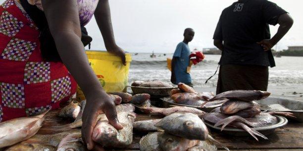 La pêche illégale menace l'industrie thonière du Togo
