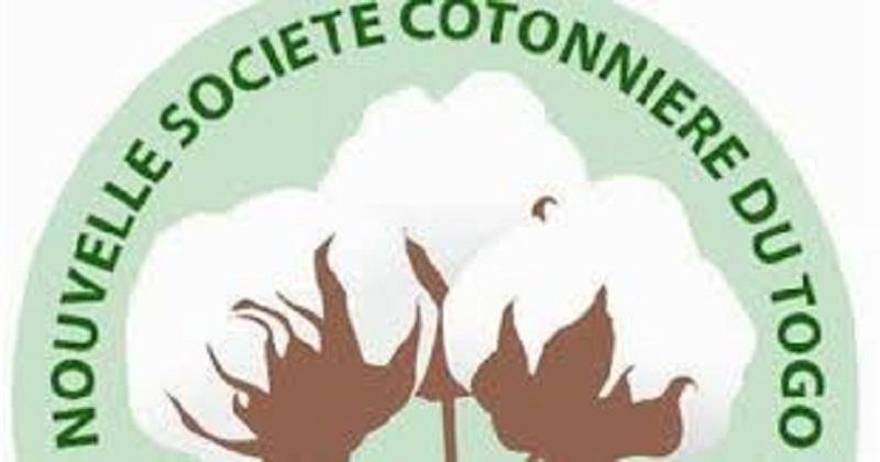 Savanes : Les meilleurs producteurs de coton récompensés par la NSCT